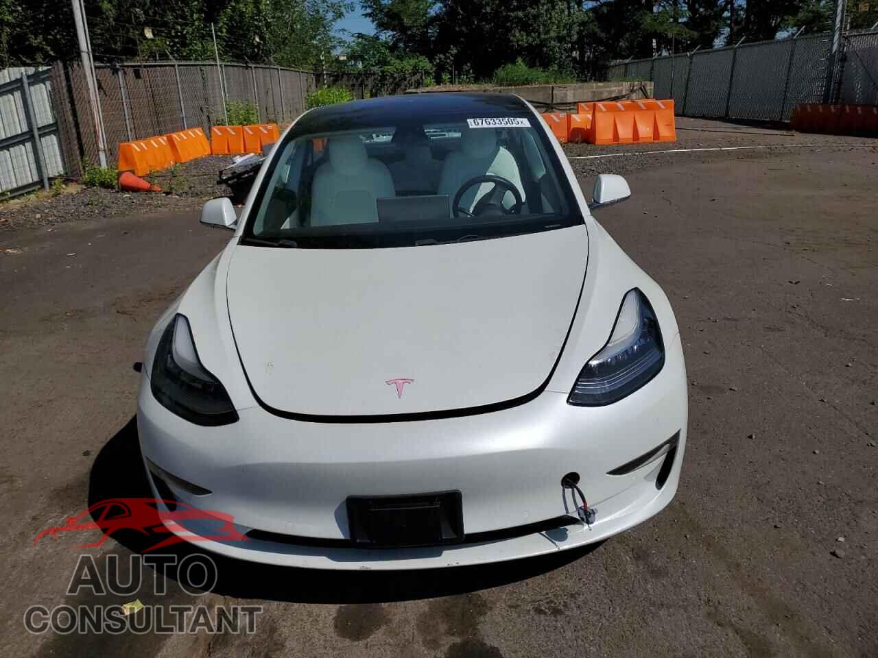 TESLA MODEL 3 2019 - 5YJ3E1EBXKF213928