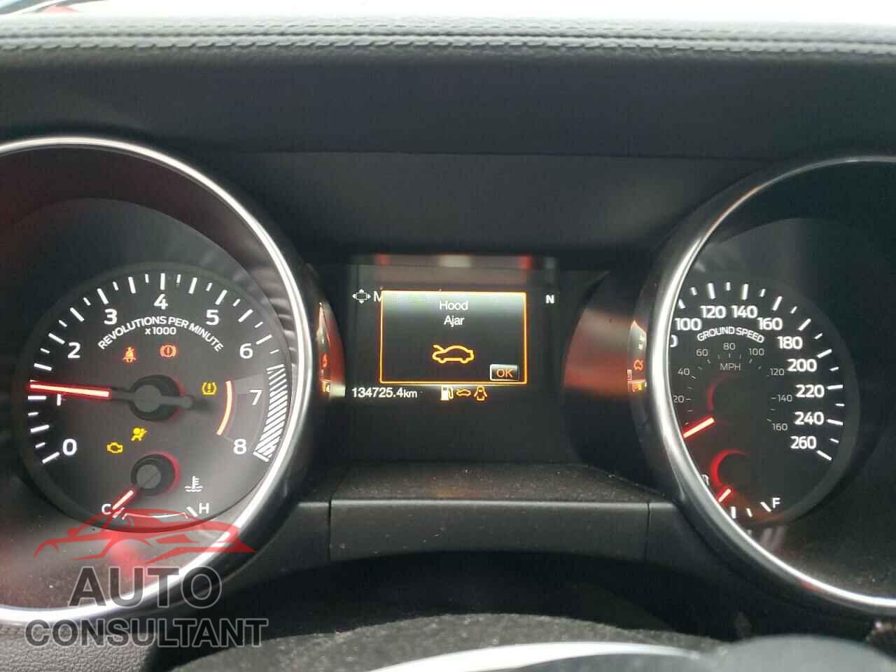FORD MUSTANG 2019 - 1FA6P8CF9K5103269