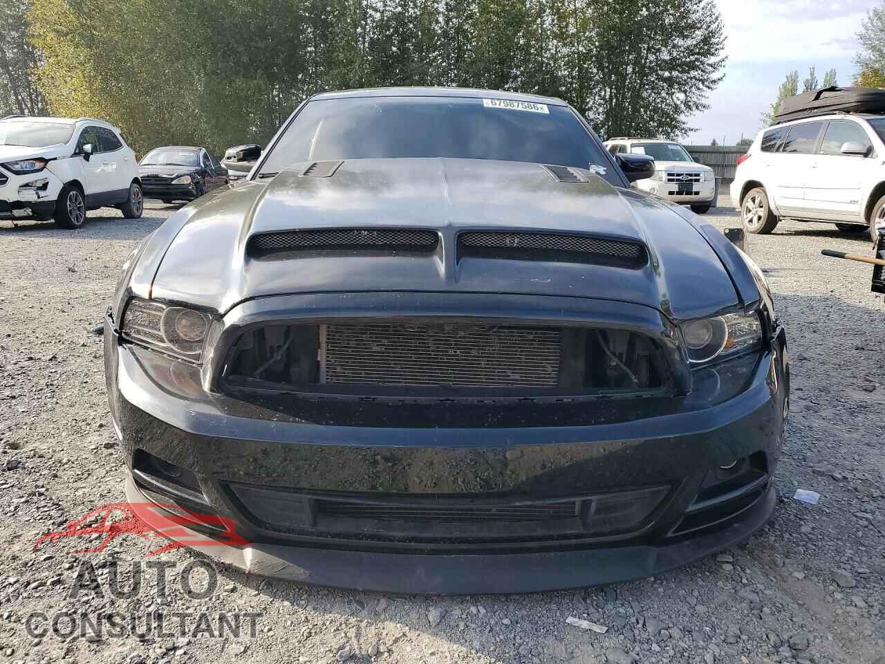 FORD MUSTANG 2013 - 1ZVBP8CF9D5271843