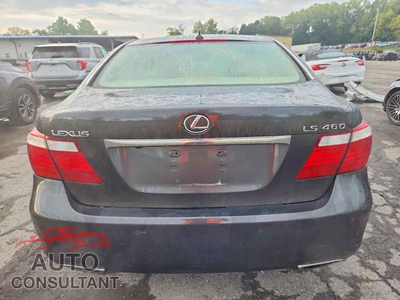 LEXUS LS460 2009 - JTHCL46F695000574