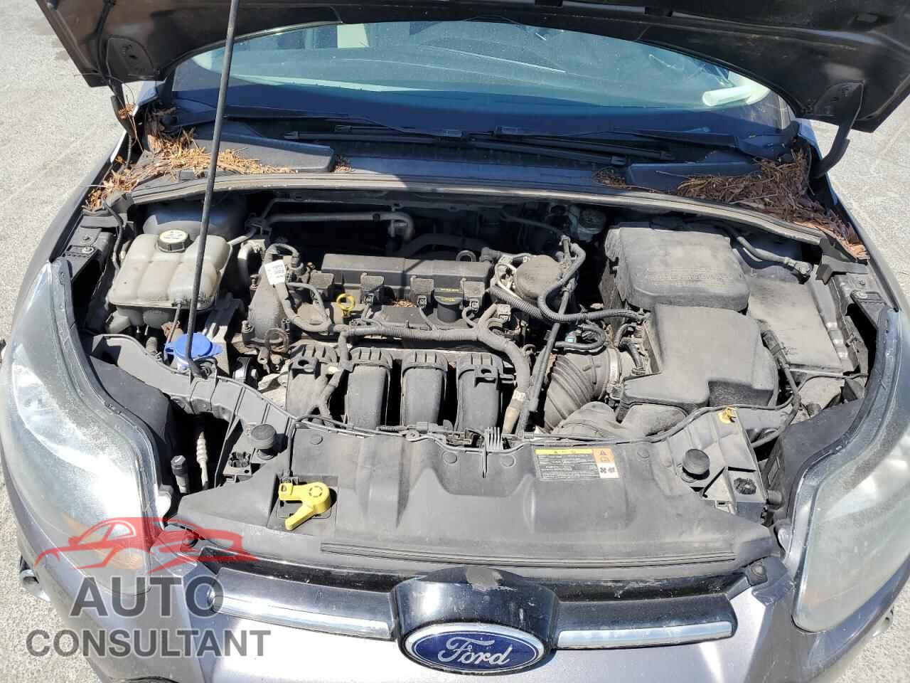 FORD FOCUS 2012 - 1FAHP3N25CL451430