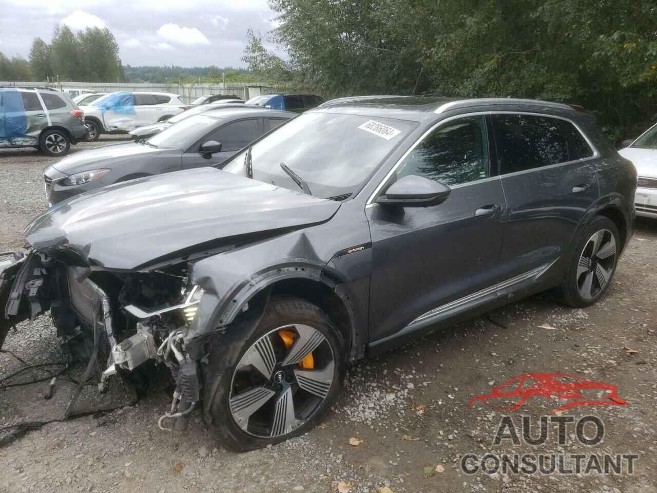 AUDI E-TRON 2019 - WA1VAAGE2KB006376