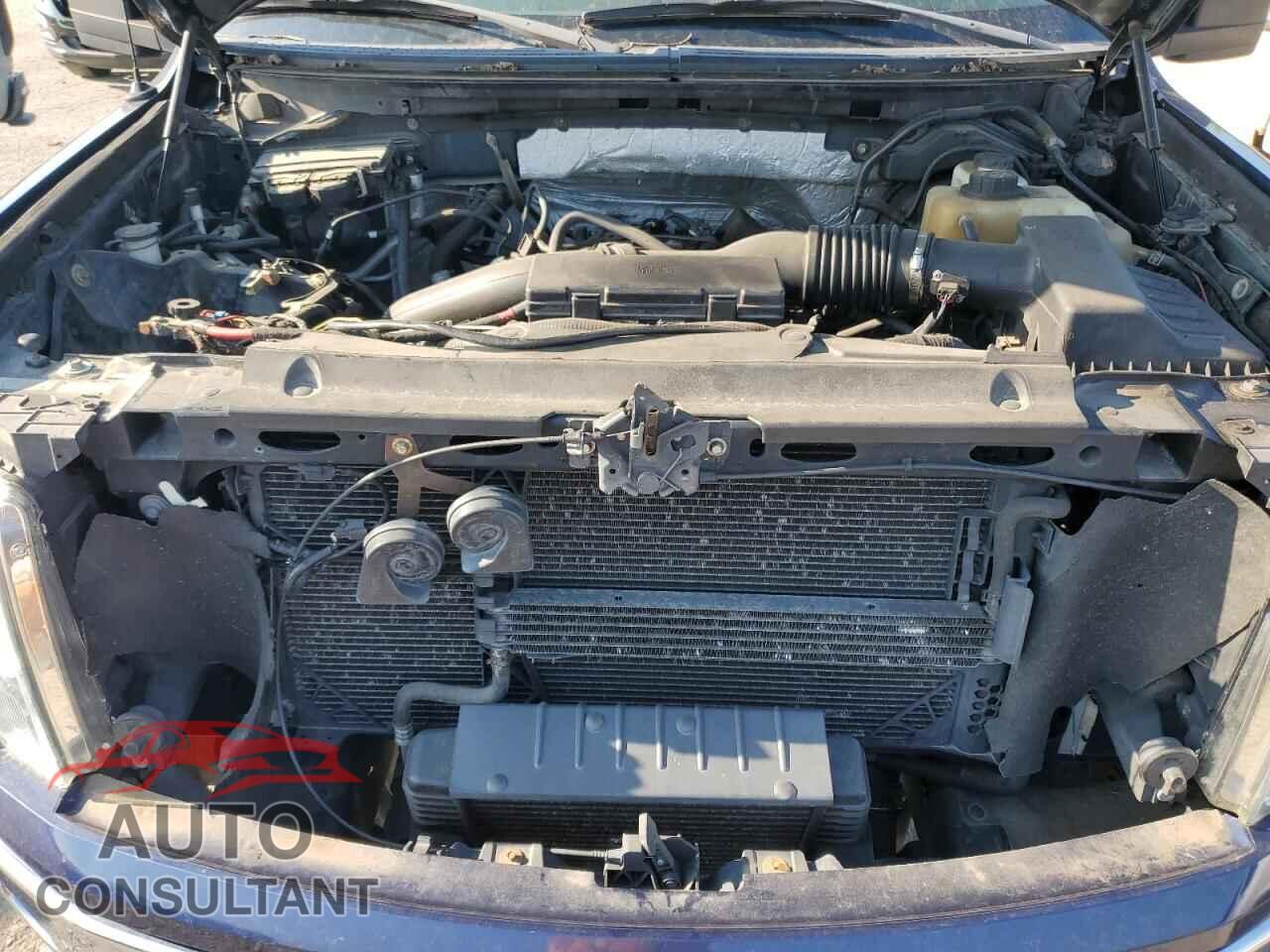 FORD F-150 2011 - 1FTFX1ET3BFC46331