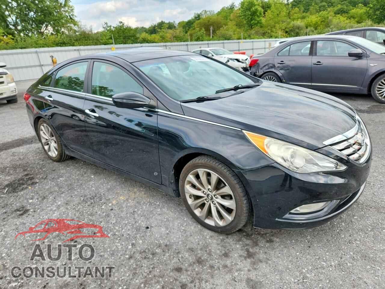 HYUNDAI SONATA 2013 - 5NPEC4AC0DH766493