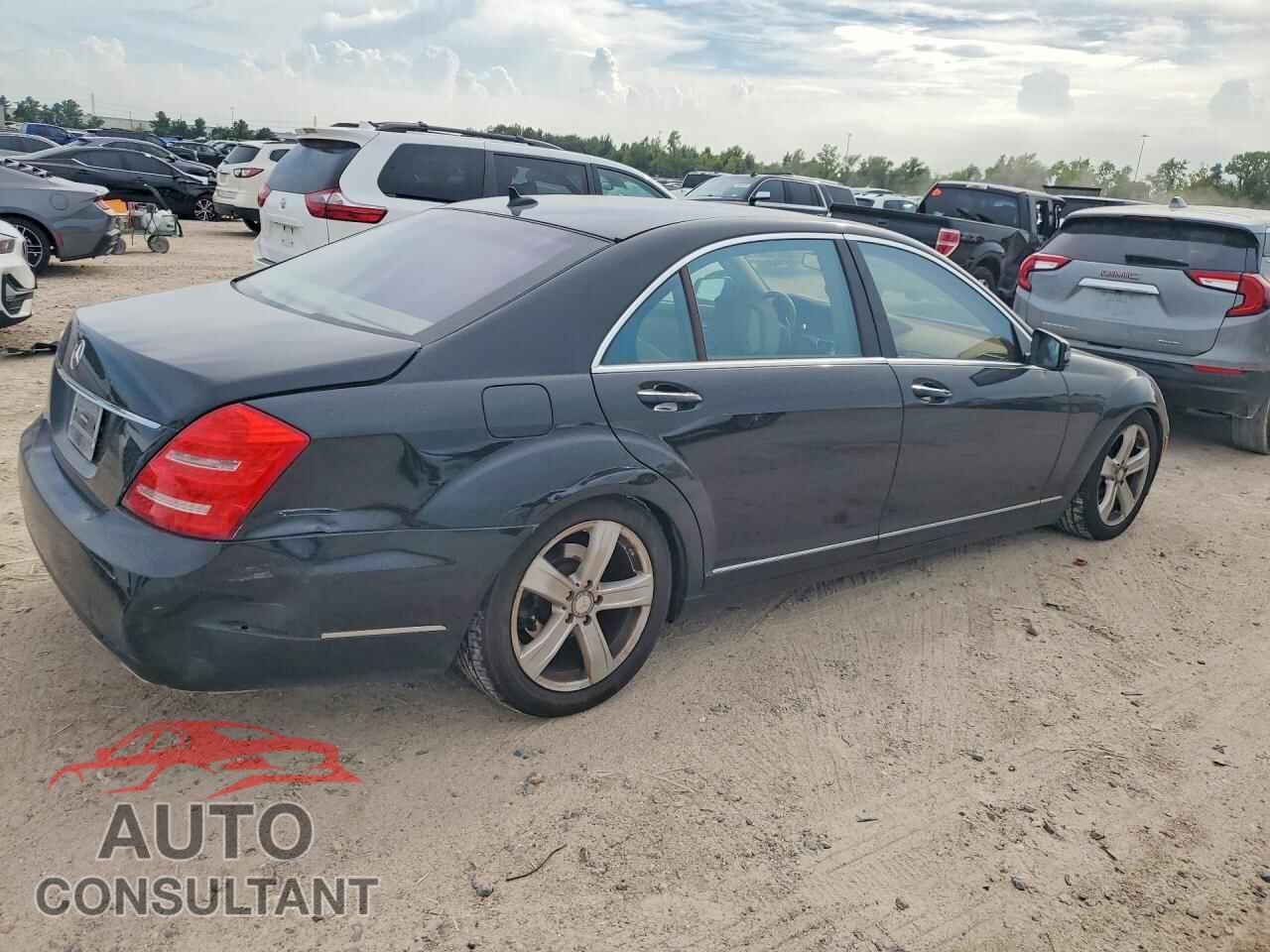 MERCEDES-BENZ S-CLASS 2010 - WDDNG7BB9AA313154