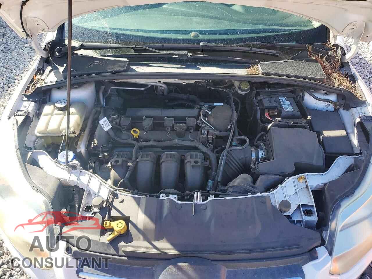 FORD FOCUS 2012 - 1FAHP3F25CL362259