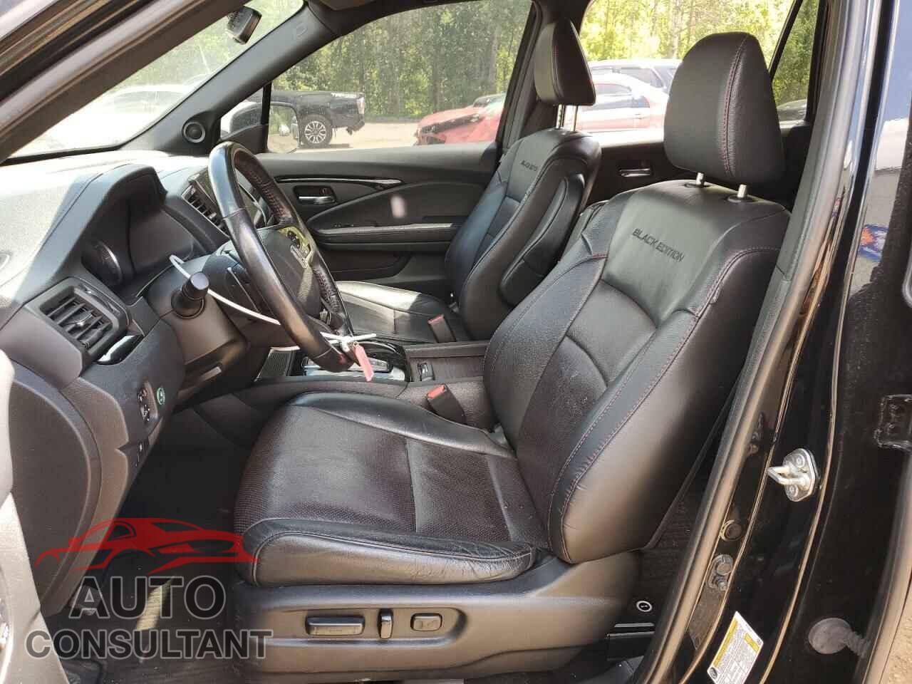 HONDA PILOT 2019 - 5FNYF6H02KB504854