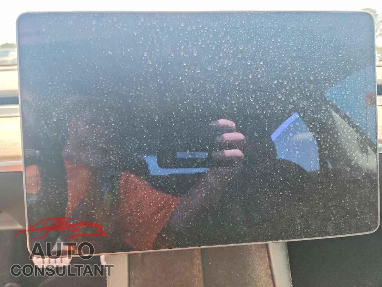 TESLA MODEL 3 2021 - 5YJ3E1ECXMF088456