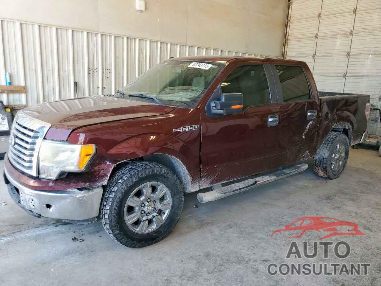 FORD F-150 2010 - 1FTEW1C80AFB29267