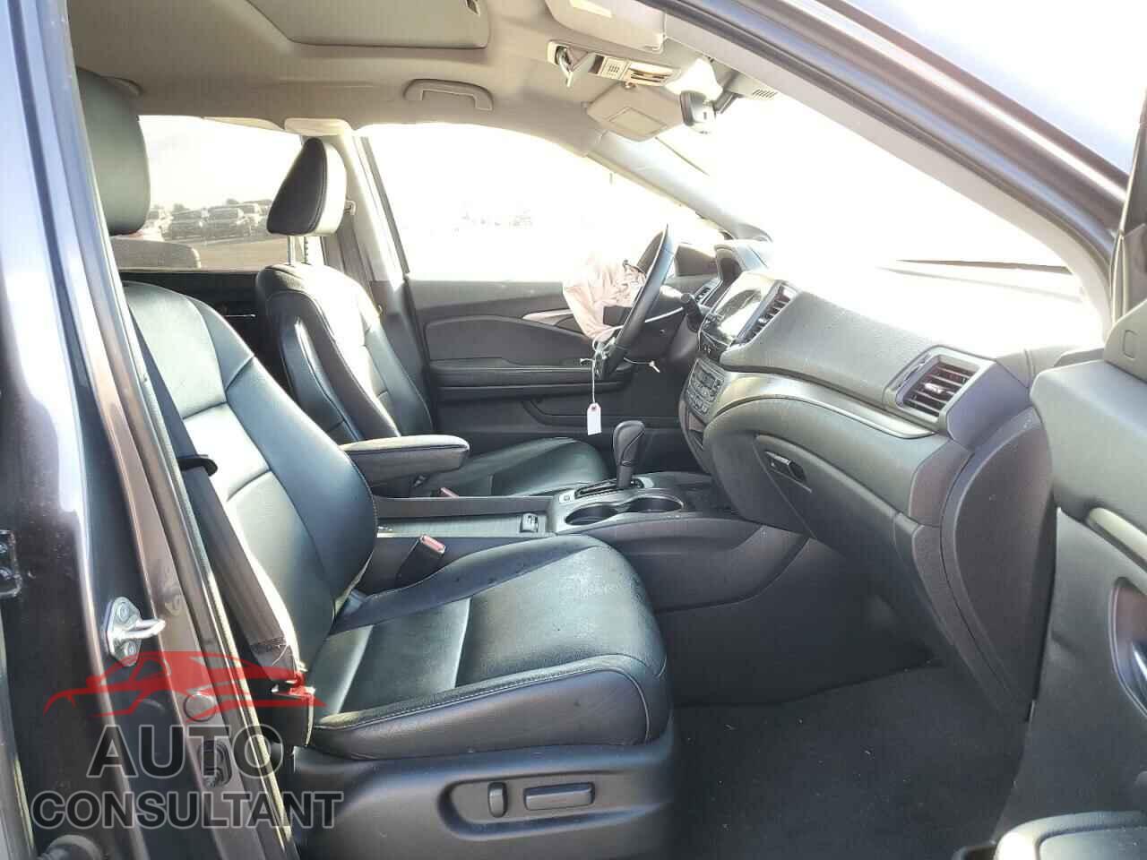 HONDA PILOT 2019 - 5FNYF5H52KB025453