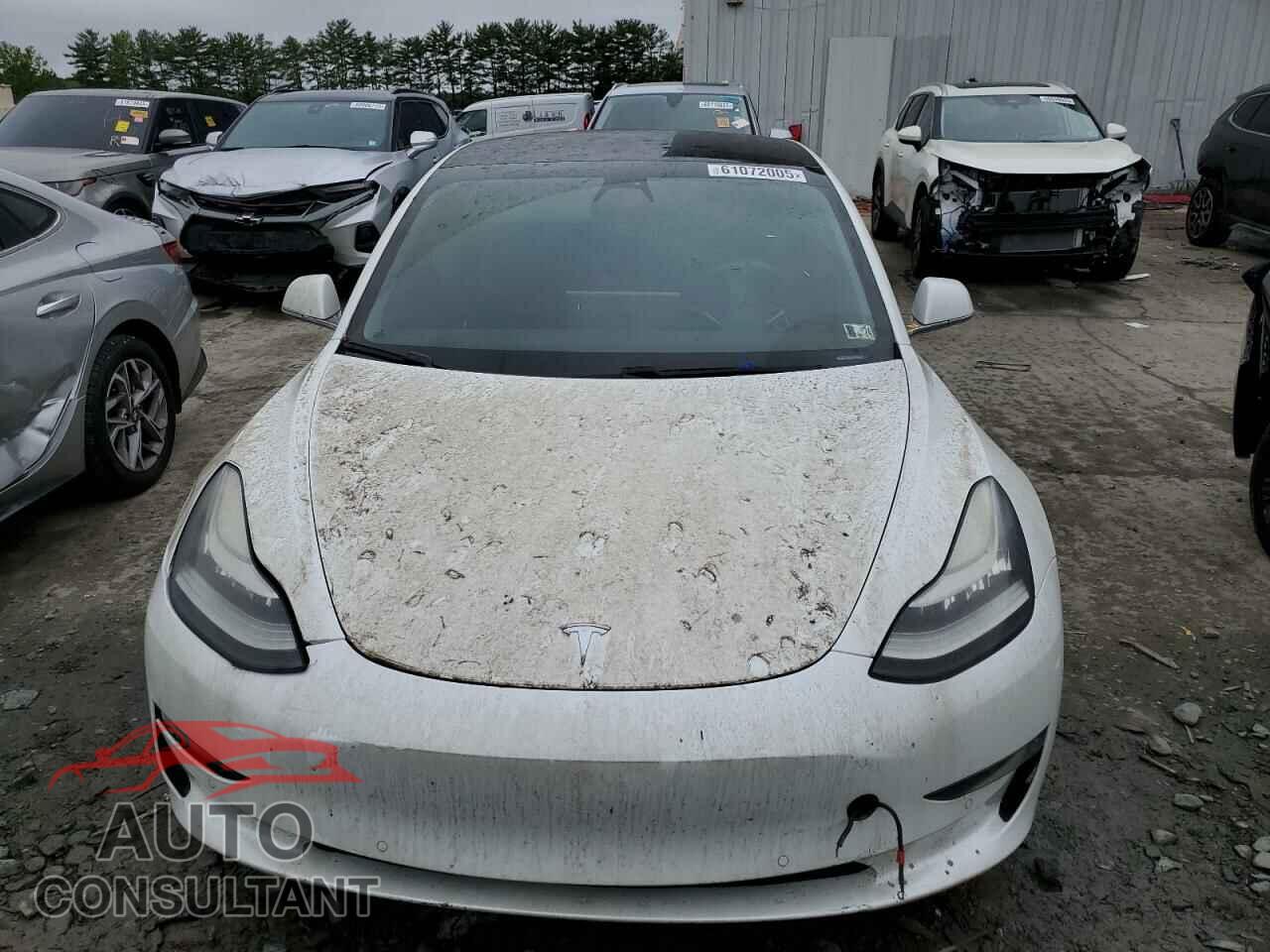 TESLA MODEL 3 2019 - 5YJ3E1EA3KF332041