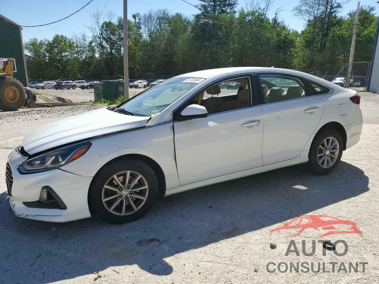 HYUNDAI SONATA 2018 - 5NPE24AF6JH603713