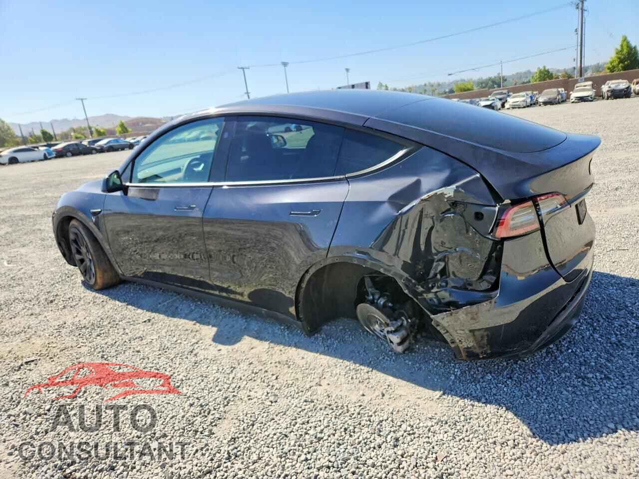 TESLA MODEL Y 2024 - 7SAYGAEE8RF041468