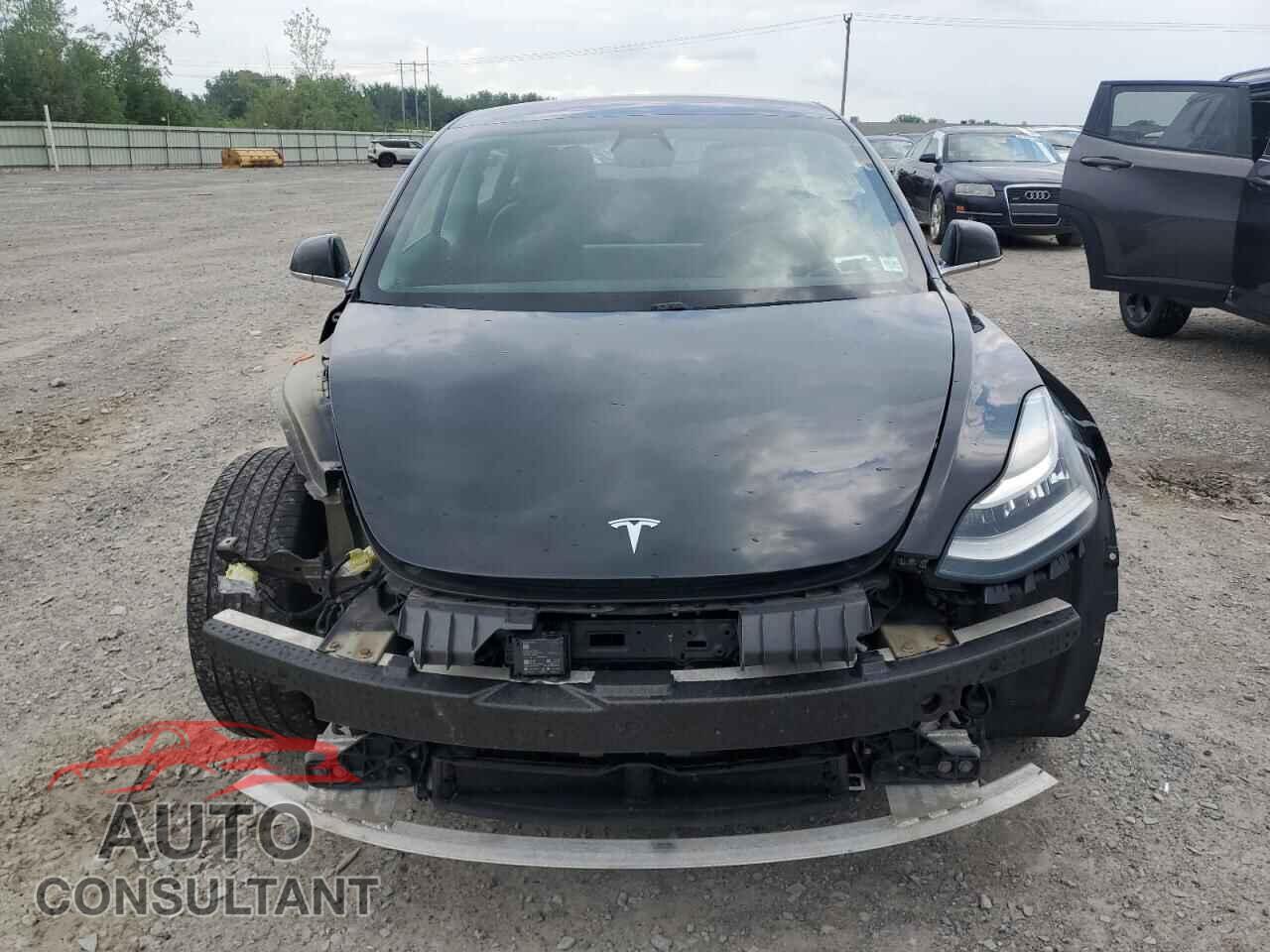 TESLA MODEL 3 2019 - 5YJ3E1EA8KF306177