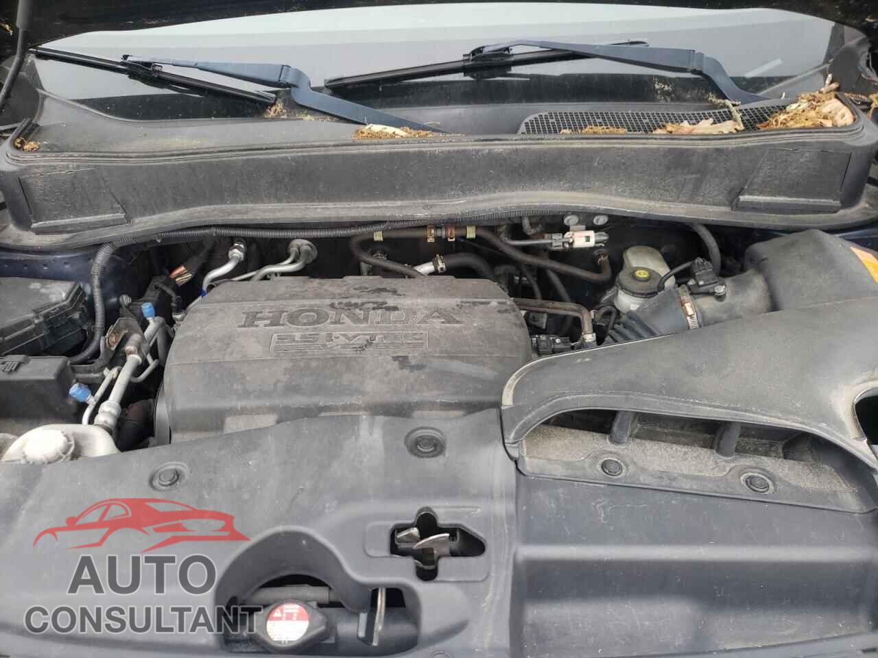 HONDA PILOT 2011 - 5FNYF4H78BB086771