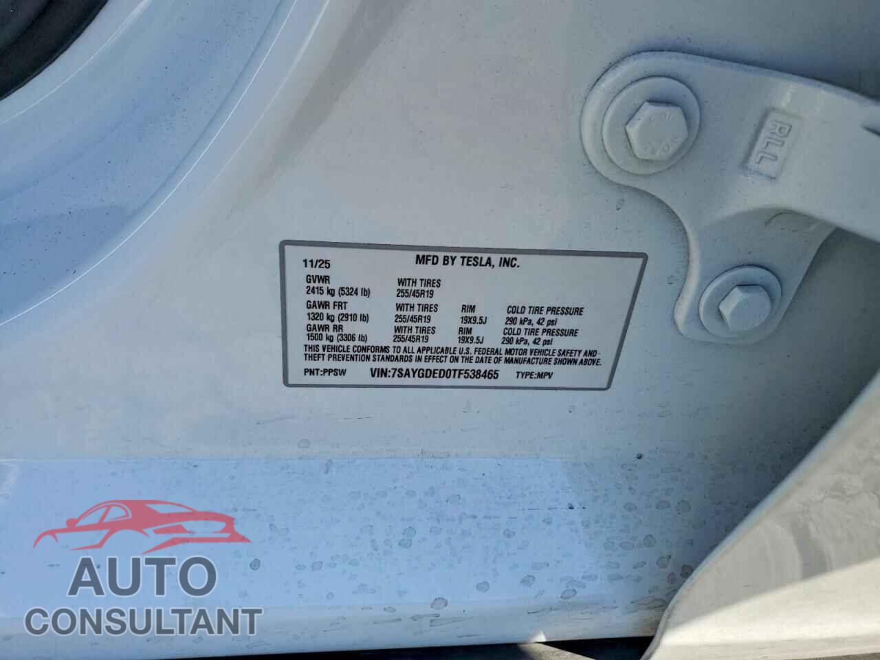 TESLA MODEL Y 2026 - 7SAYGDED0TF538465