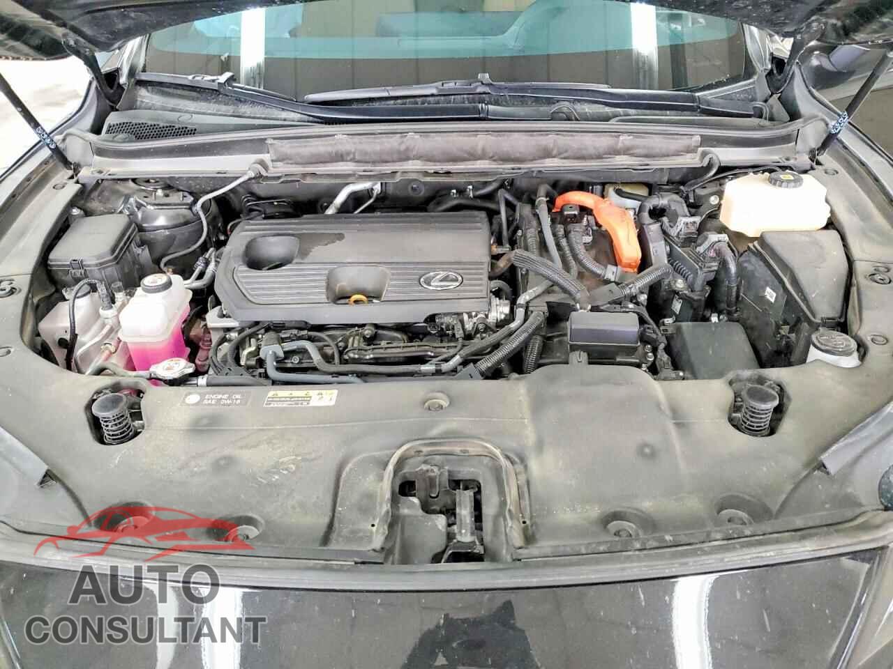 LEXUS UNKNOWN 2024 - 2T2BBMCA4RC058108