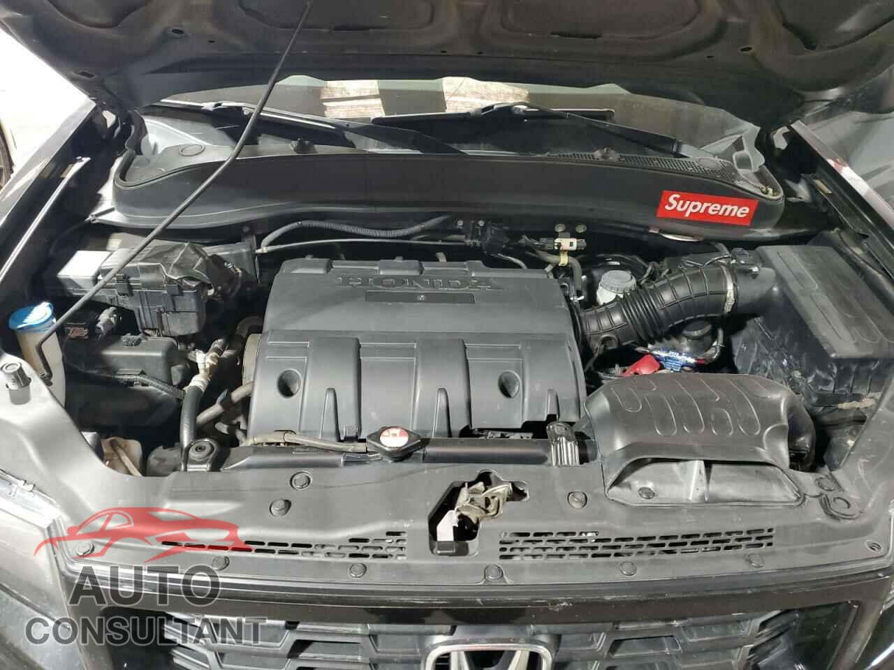 HONDA RIDGELINE 2013 - 5FPYK1F76DB013051
