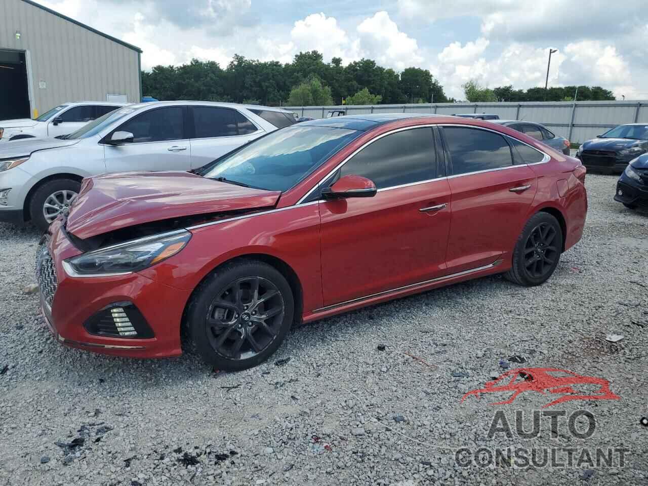 HYUNDAI SONATA 2019 - 5NPE34AB4KH819197