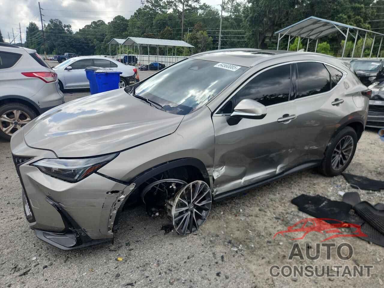 LEXUS NX 250 2022 - 2T2GDCAZ5NC001865