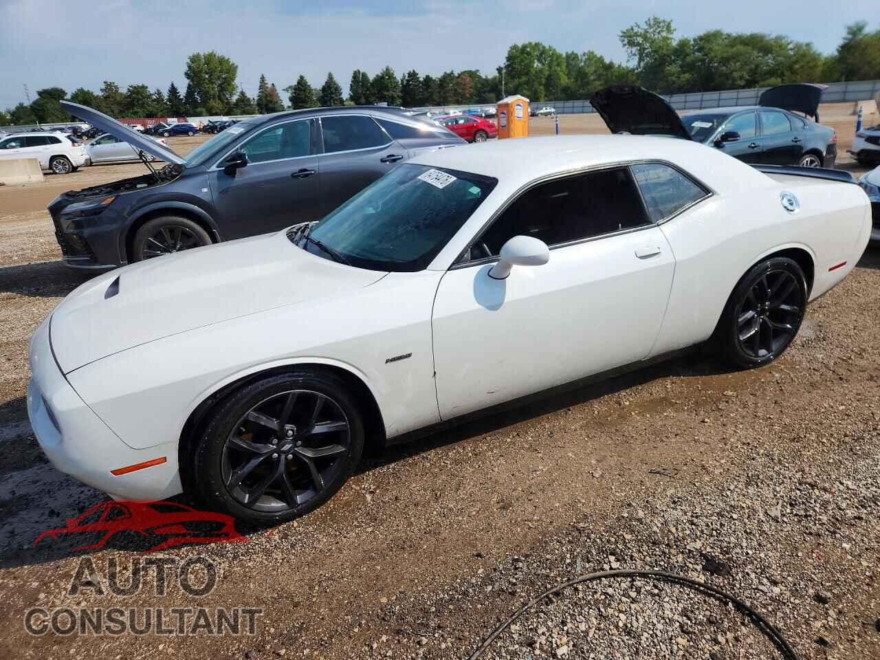 DODGE CHALLENGER 2019 - 2C3CDZBT8KH513397