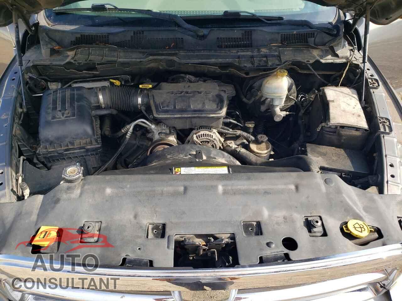 DODGE RAM 1500 2010 - 1D7RB1GP9AS111135
