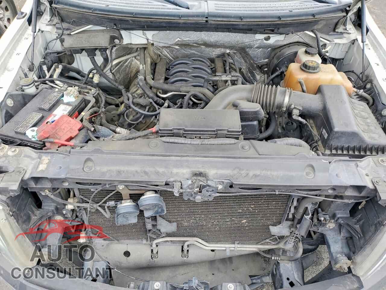 FORD F150 2012 - 1FTNF1CF1CKD40003