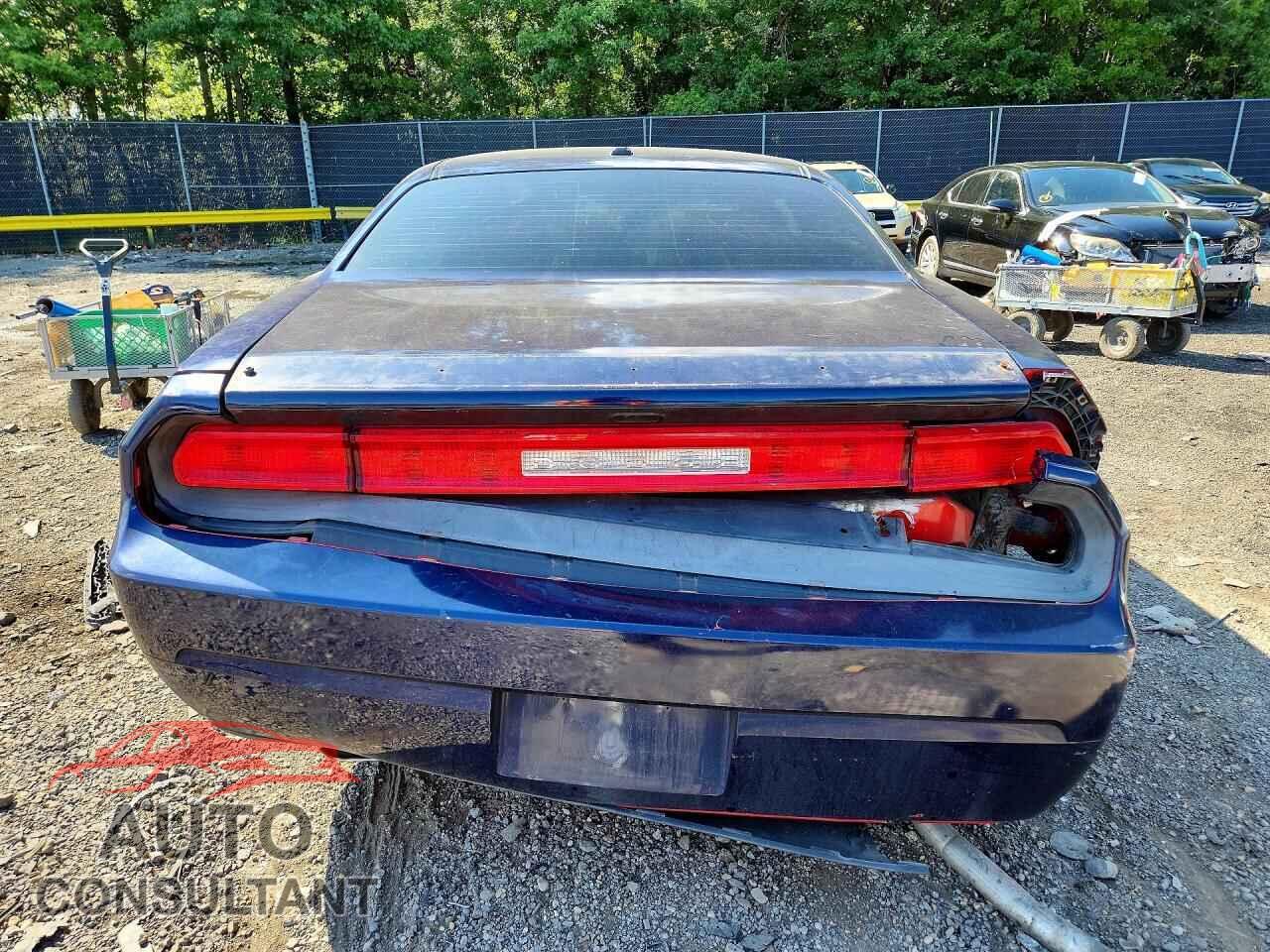 DODGE CHALLENGER 2014 - 2C3CDYAG2EH195649