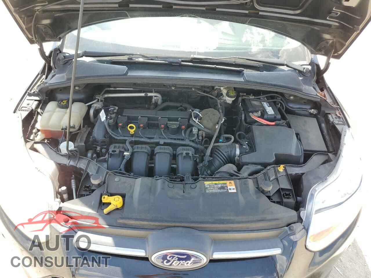 FORD FOCUS 2014 - 1FADP3F2XEL128880
