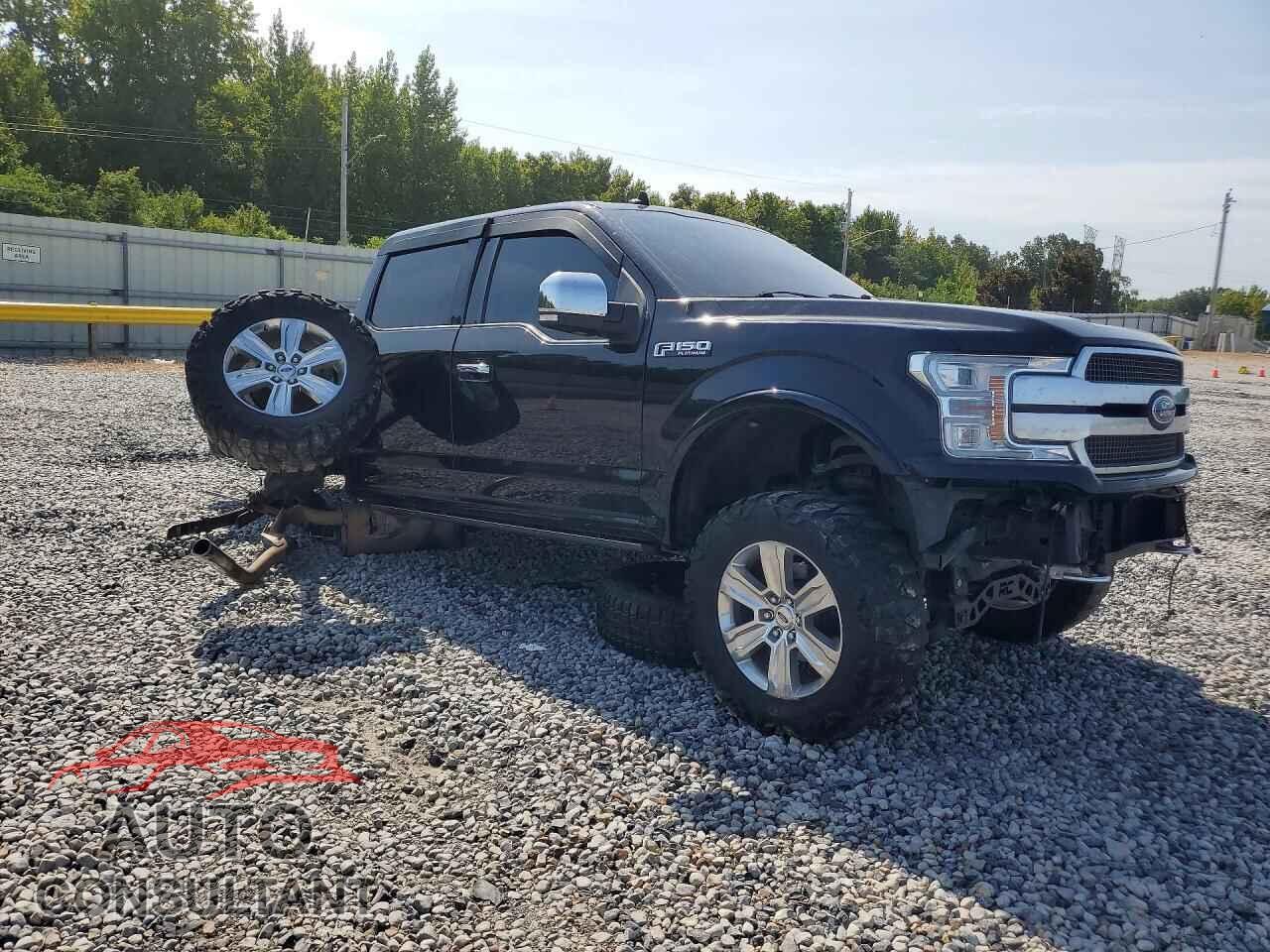 FORD F150 2020 - 1FTEW1E47LFA07051