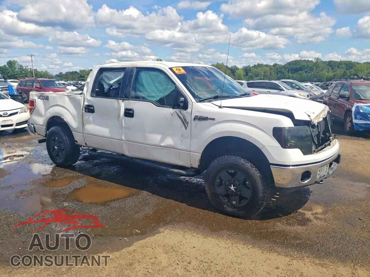 FORD F150 2011 - 1FTFW1EF5BFA29053