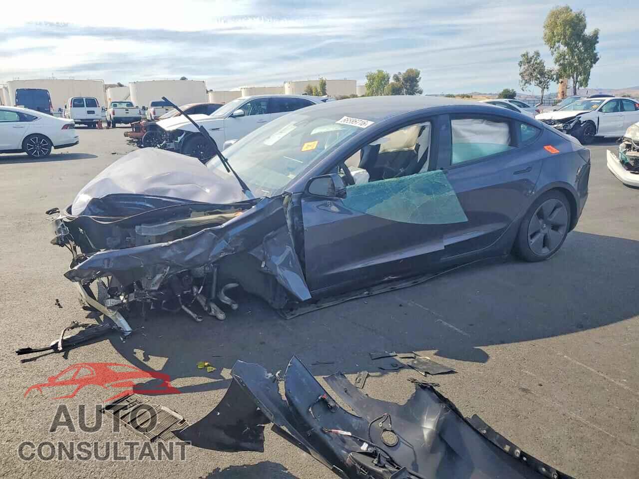 TESLA MODEL 3 2022 - 5YJ3E1EA3NF351709