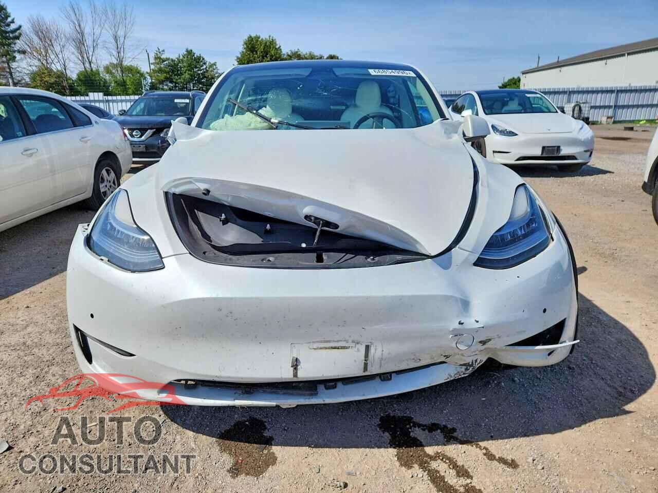 TESLA MODEL Y 2022 - 7SAYGDEEXNF439227
