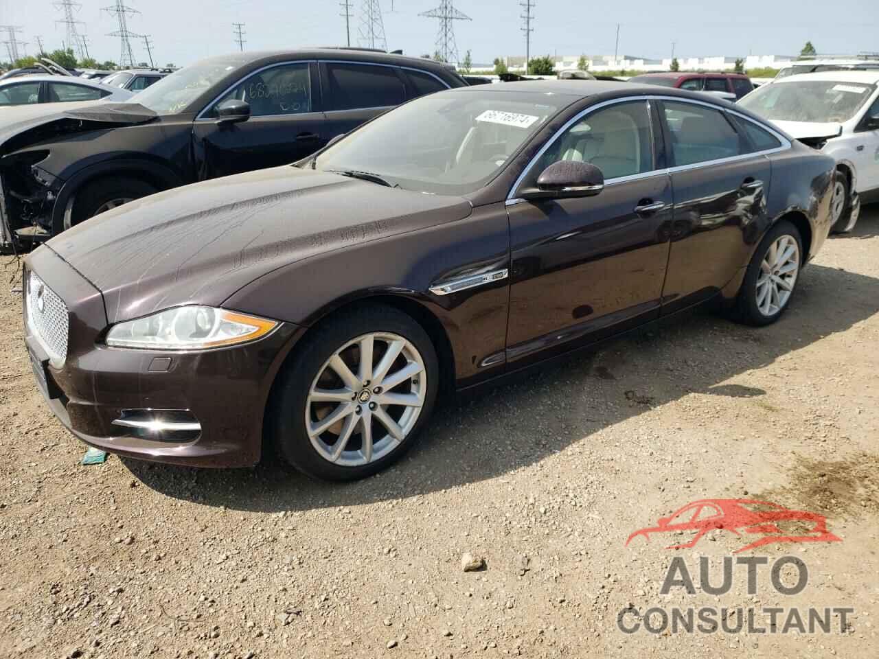 JAGUAR XJ 2011 - SAJWA1CB0BLV05386