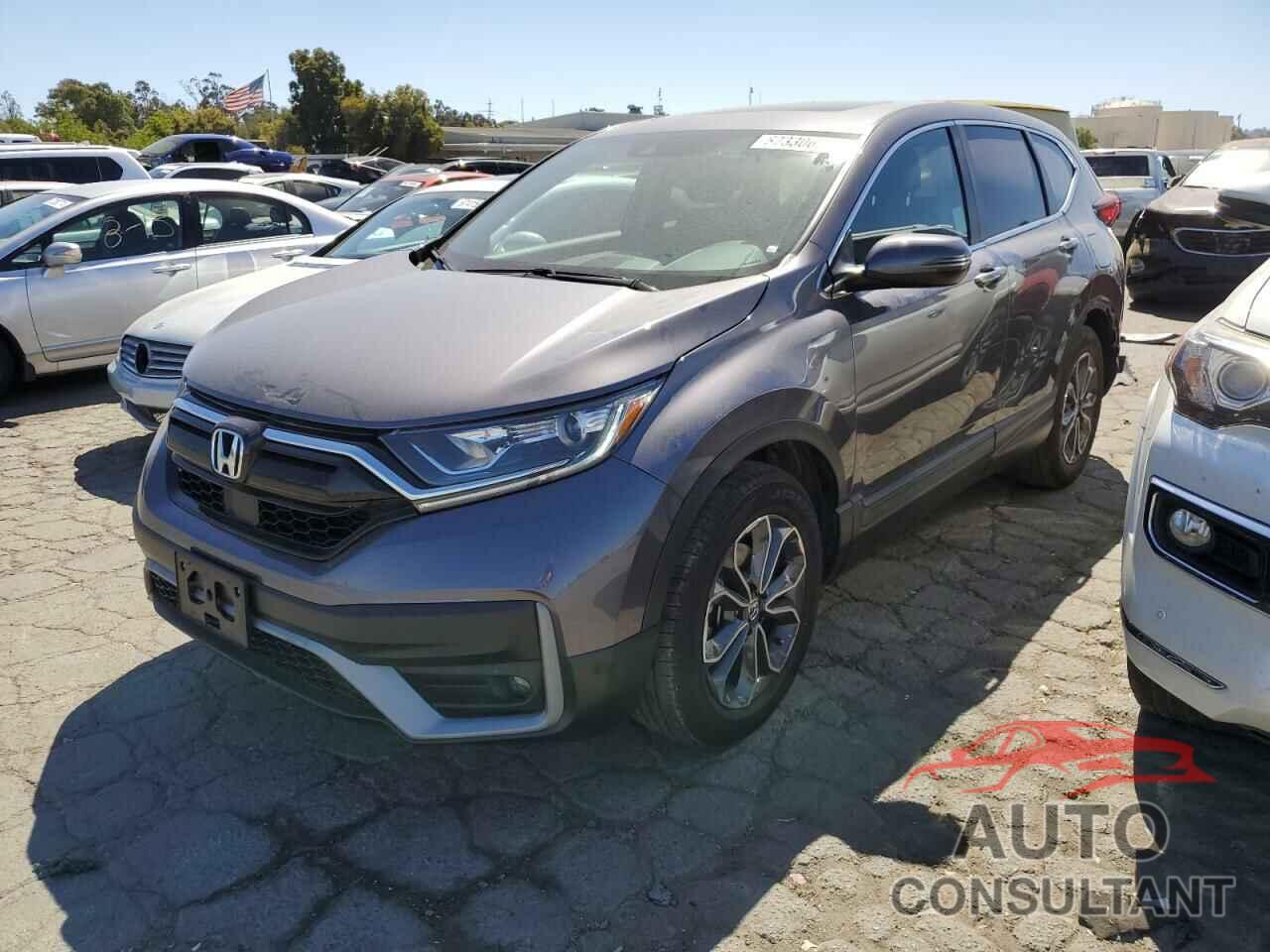 HONDA CRV 2022 - 2HKRW1H56NH407682