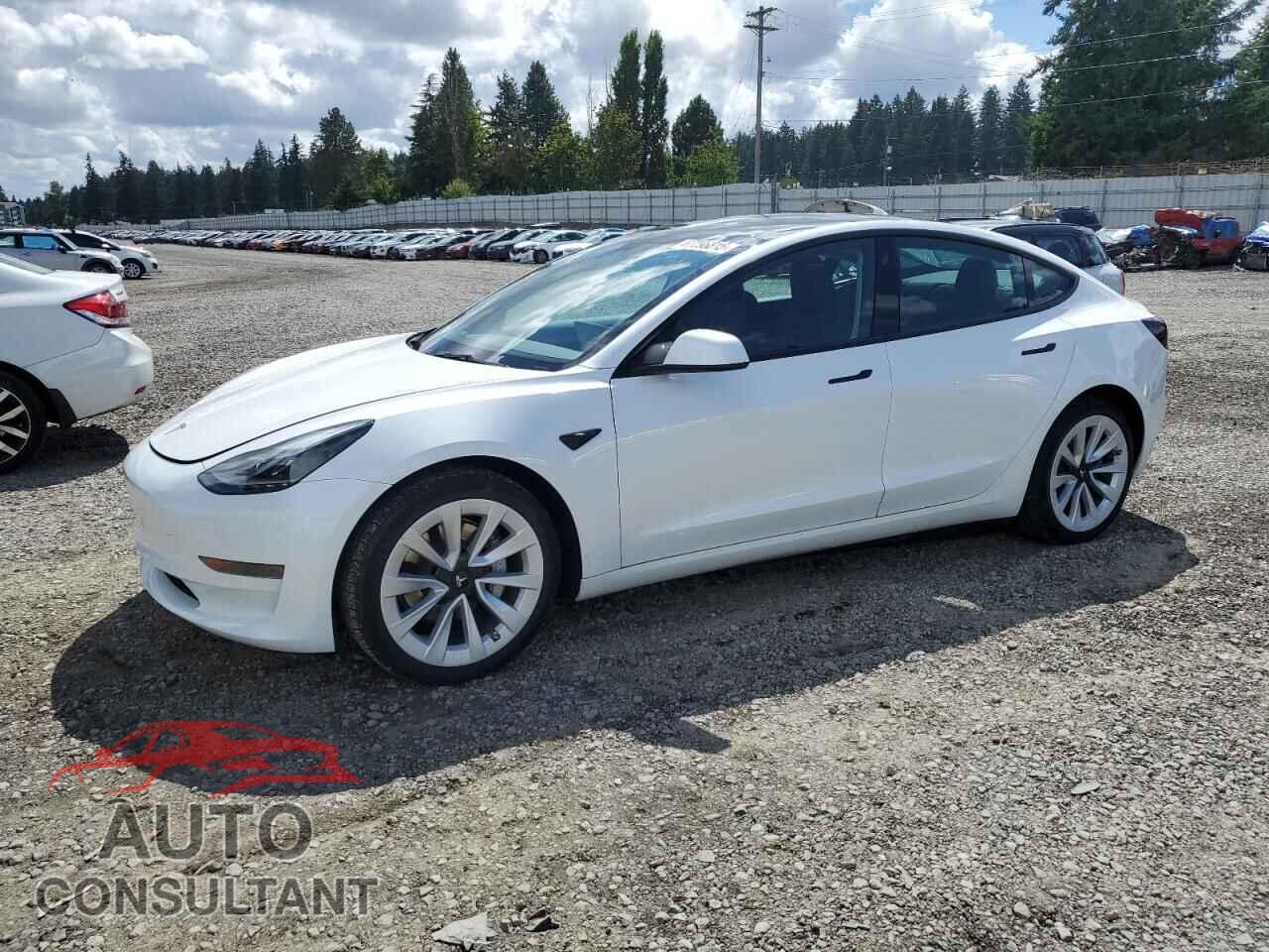TESLA MODEL 3 2023 - 5YJ3E1EA8PF644881