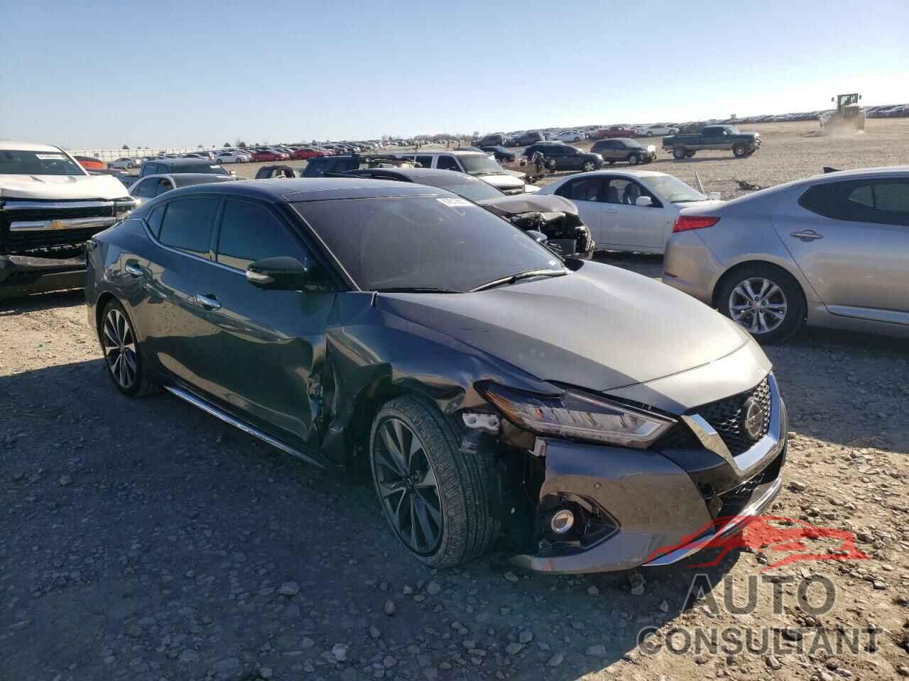 NISSAN MAXIMA 2019 - 1N4AA6AV8KC379996