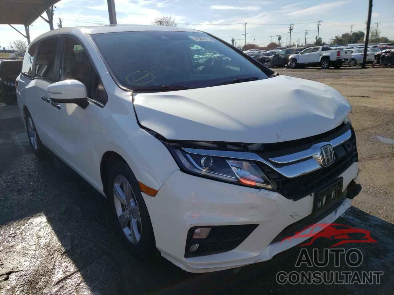 HONDA ODYSSEY 2019 - 5FNRL6H76KB085594