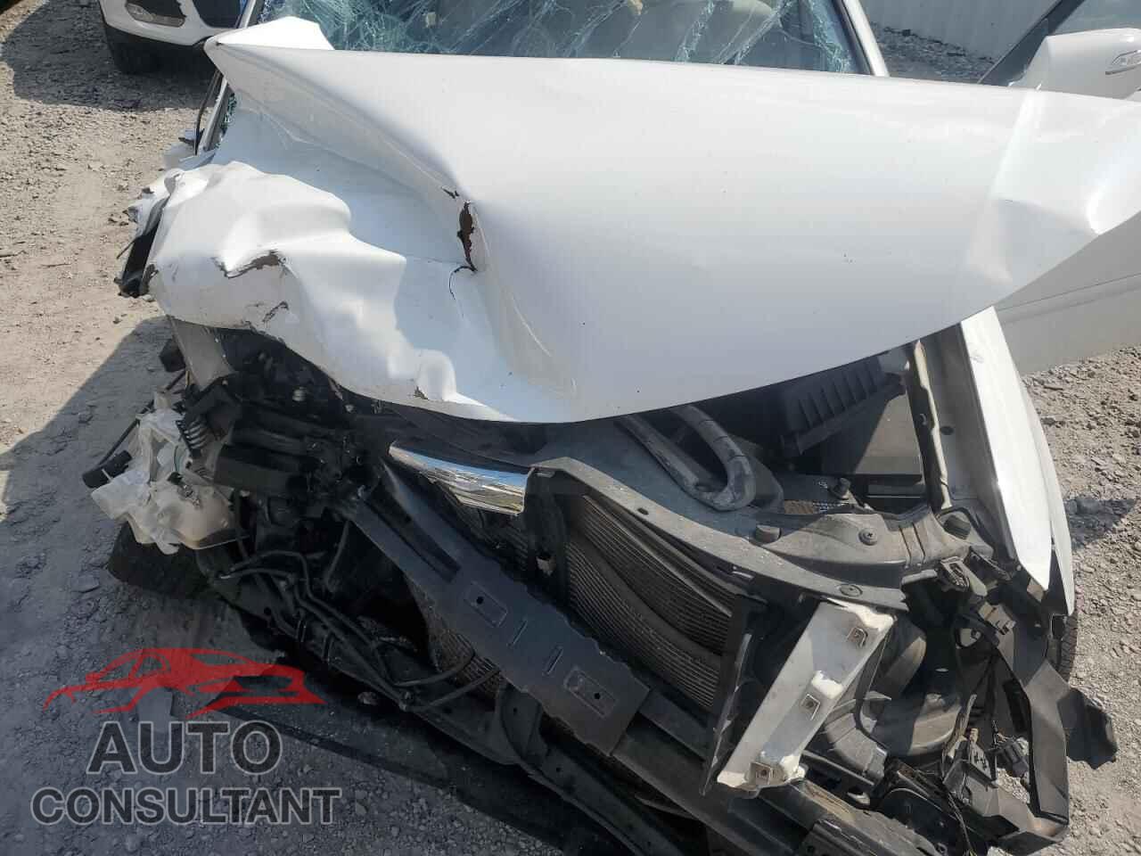 KIA OPTIMA 2010 - KNAGG4A83A5377722