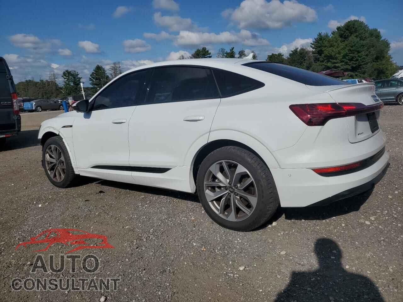 AUDI E-TRON 2021 - WA12AAGE6MB003342