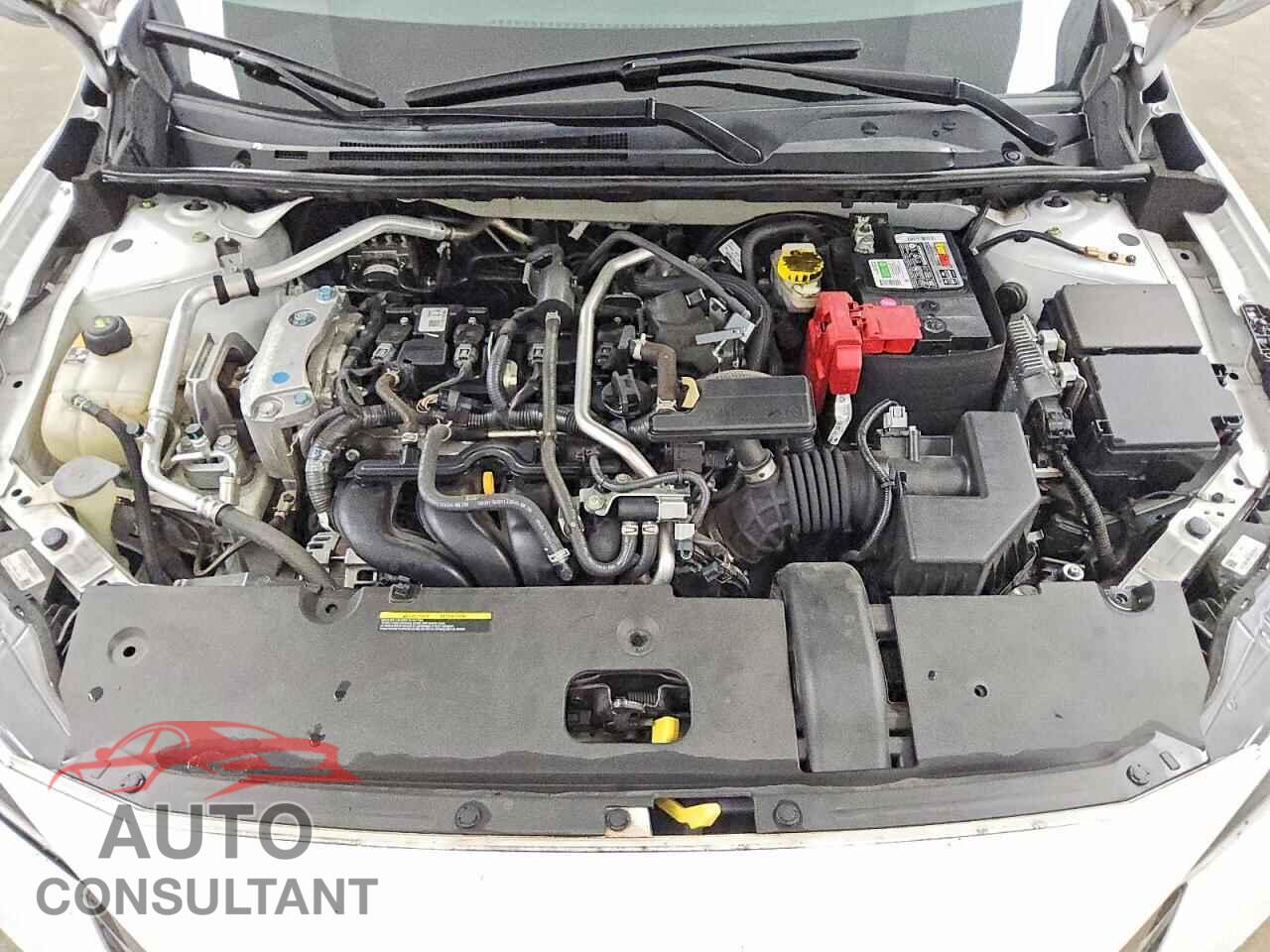 NISSAN SENTRA 2023 - 3N1AB8CV4PY239168