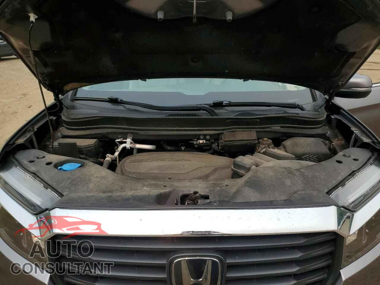 HONDA RIDGELINE 2022 - 5FPYK3F54NB013089