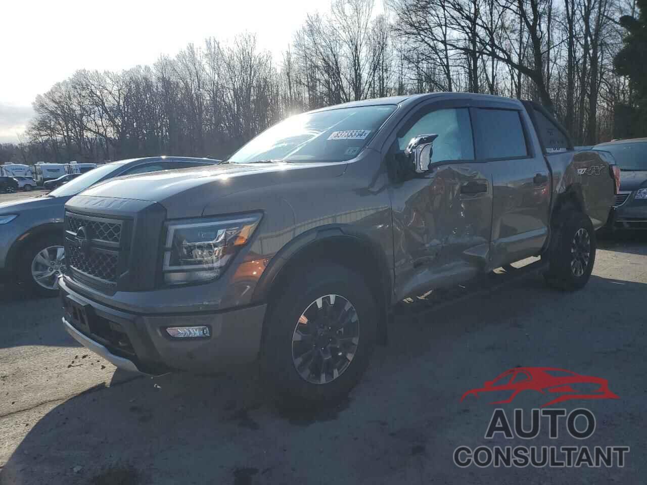 NISSAN TITAN PRO- 2024 - 1N6AA1ED9RN104101