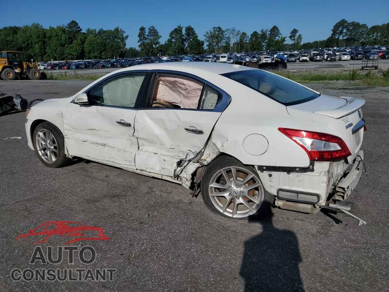 NISSAN MAXIMA 2011 - 1N4AA5AP7BC831237