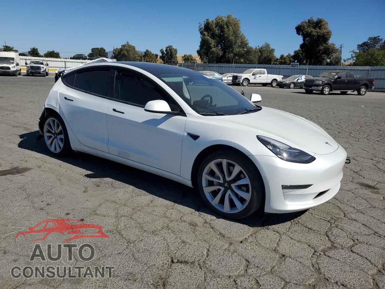 TESLA MODEL 3 2019 - 5YJ3E1EA8KF407557