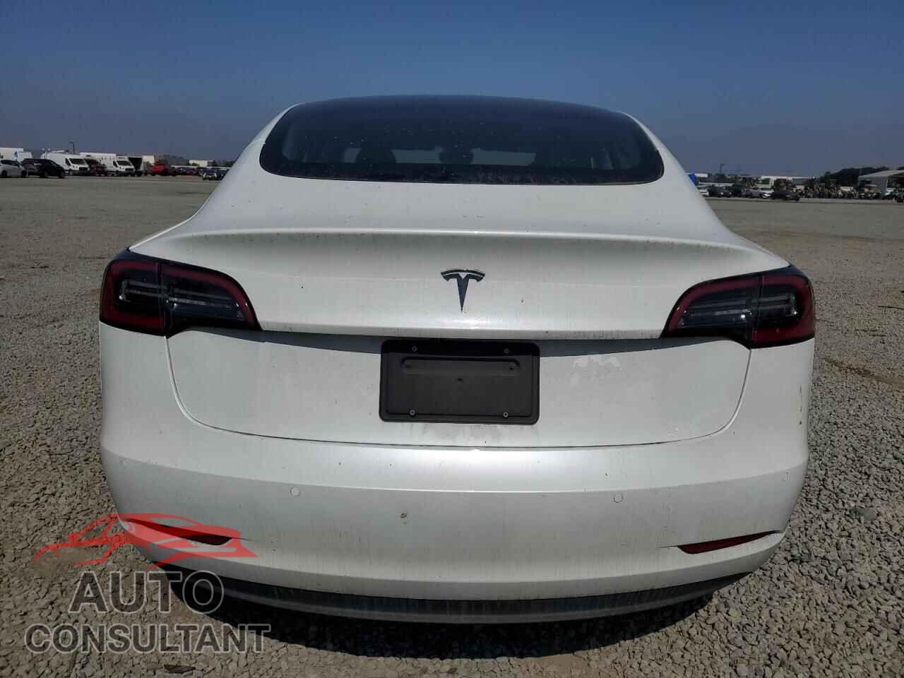 TESLA MODEL 3 2021 - 5YJ3E1EA5MF069019