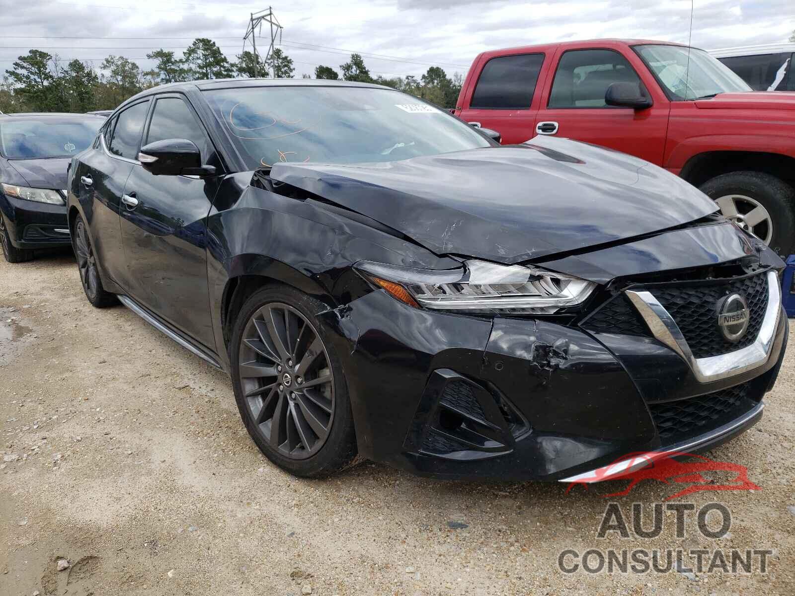 NISSAN MAXIMA 2019 - 1N4AA6AV8KC382171