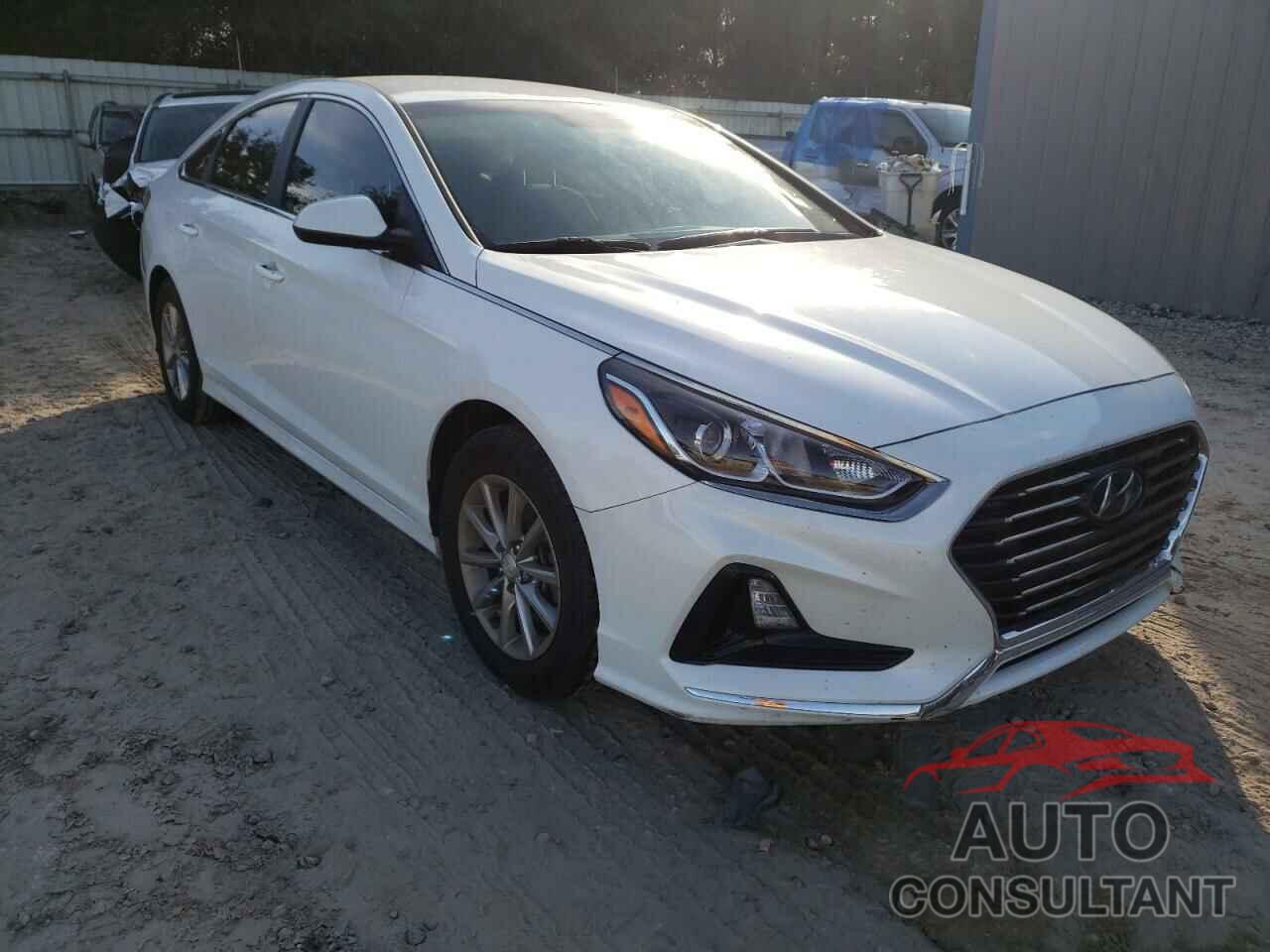 HYUNDAI SONATA 2019 - 5NPE24AF6KH792591