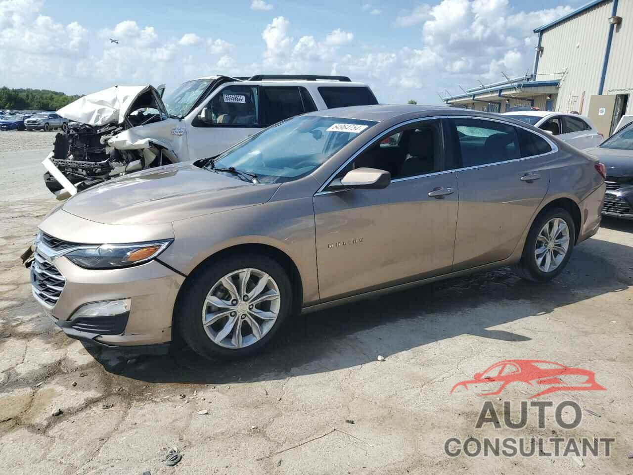 CHEVROLET MALIBU 2019 - 1G1ZD5ST8KF174651