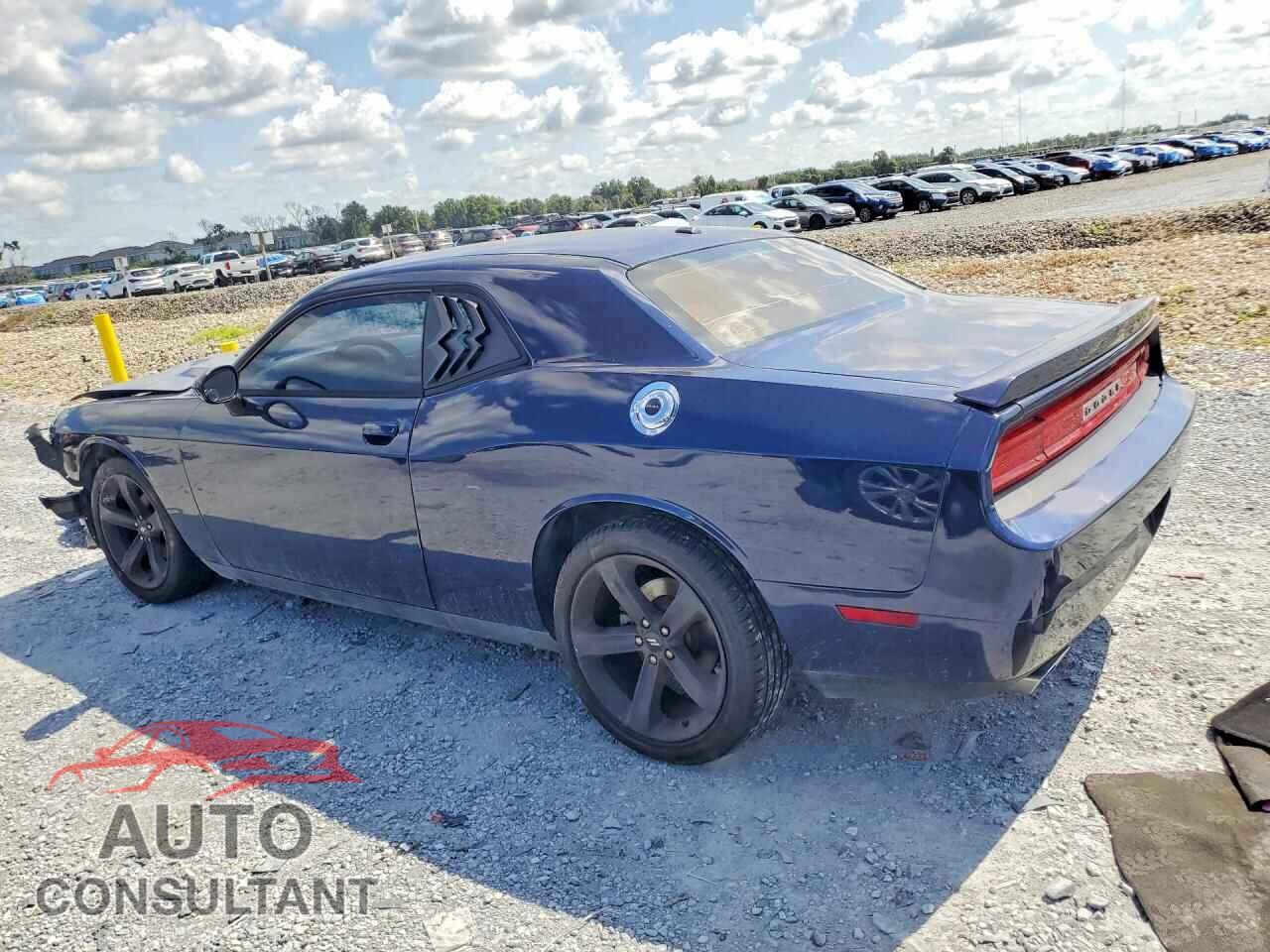 DODGE CHALLENGER 2014 - 2C3CDYAG2EH304210